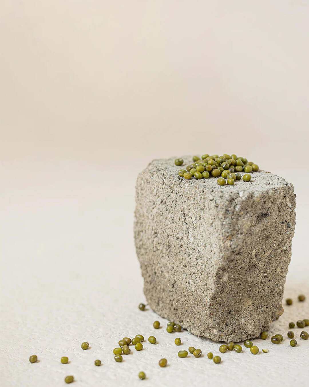 Beauty of Joseon Green Plum Refreshing Toner : AHA + BHA