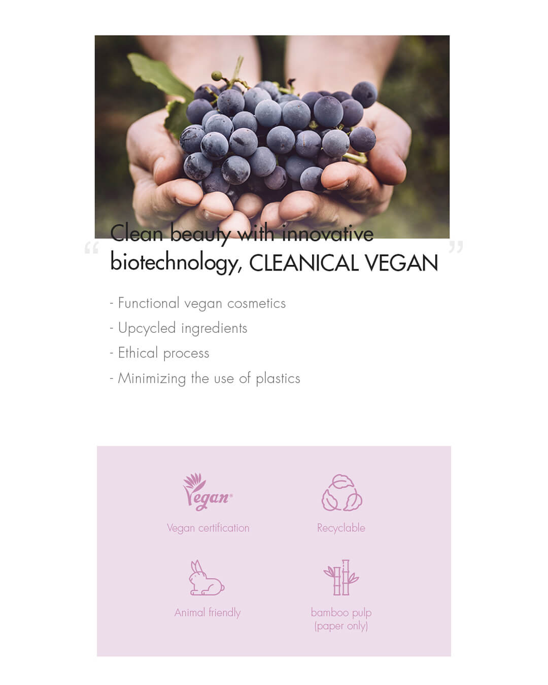 Dr. Ceuracle Vegan Active Berry Lifting Cream