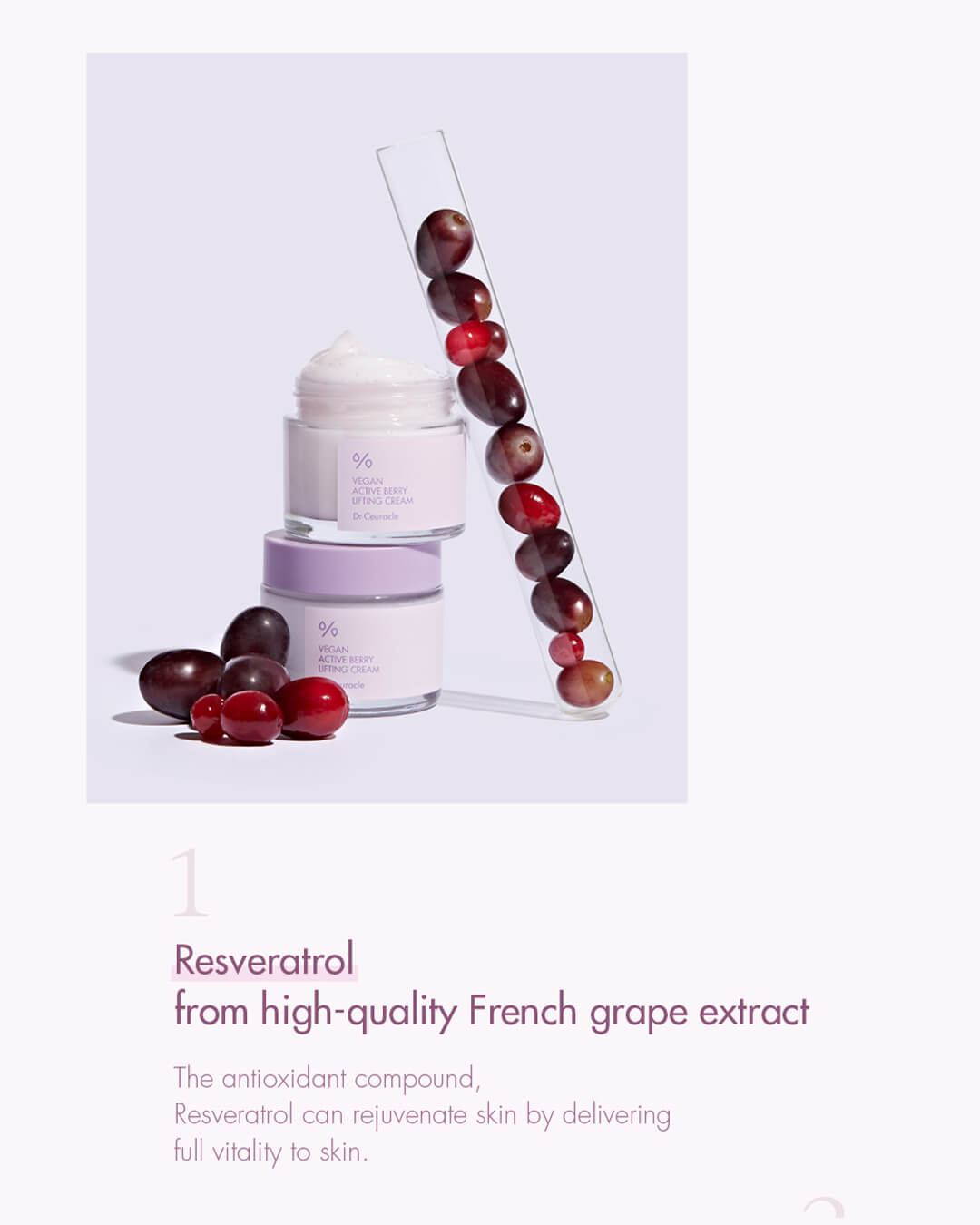 Dr. Ceuracle Vegan Active Berry Lifting Cream