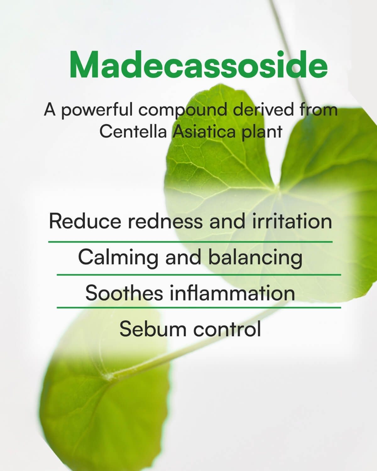 Face Republic Calming Tea Tree Madecassoside Serum