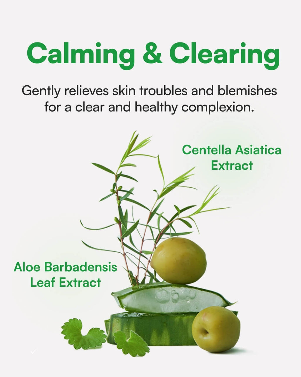 Face Republic Calming Care AHA/BHA Moisturizer