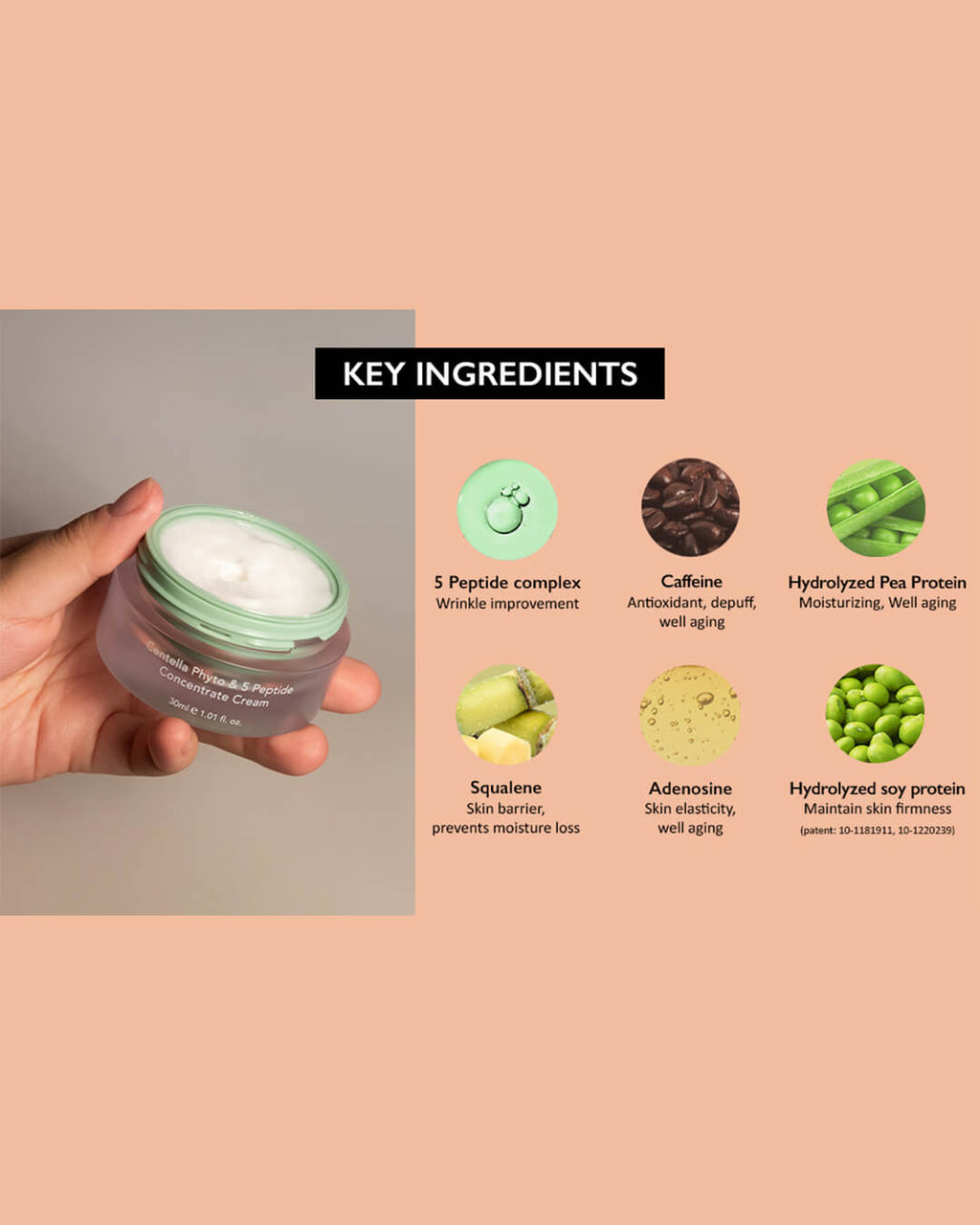 haruharu wonder Centella Phyto & 5 Peptide Concentrate Cream