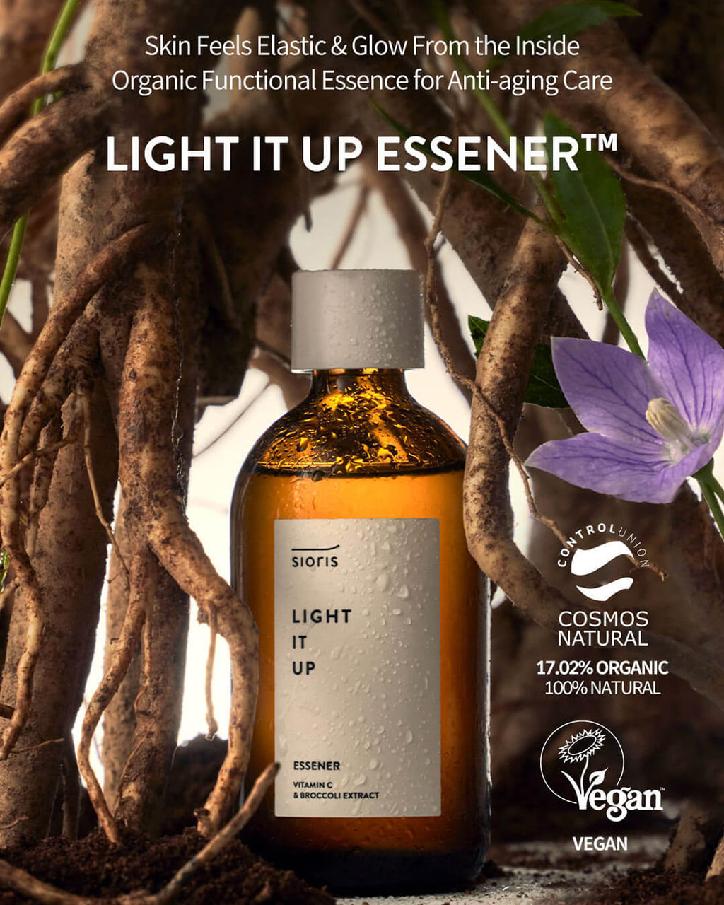 Sioris Light It Up Essener