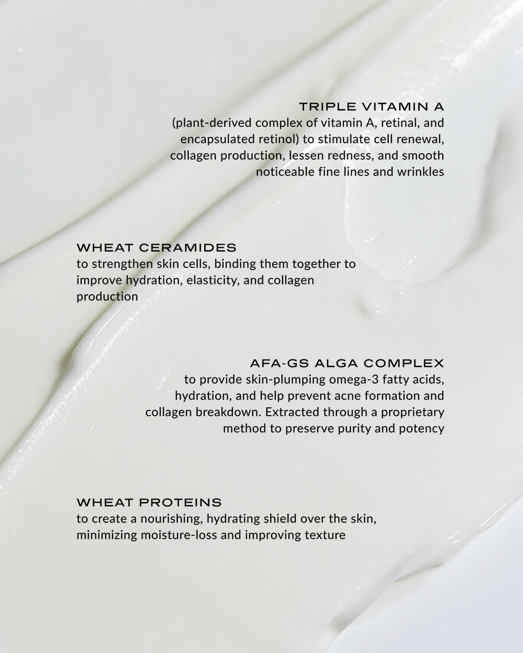 Wylys Nightinol Cream & Sage Verte Makeup Bag ($250 Value)