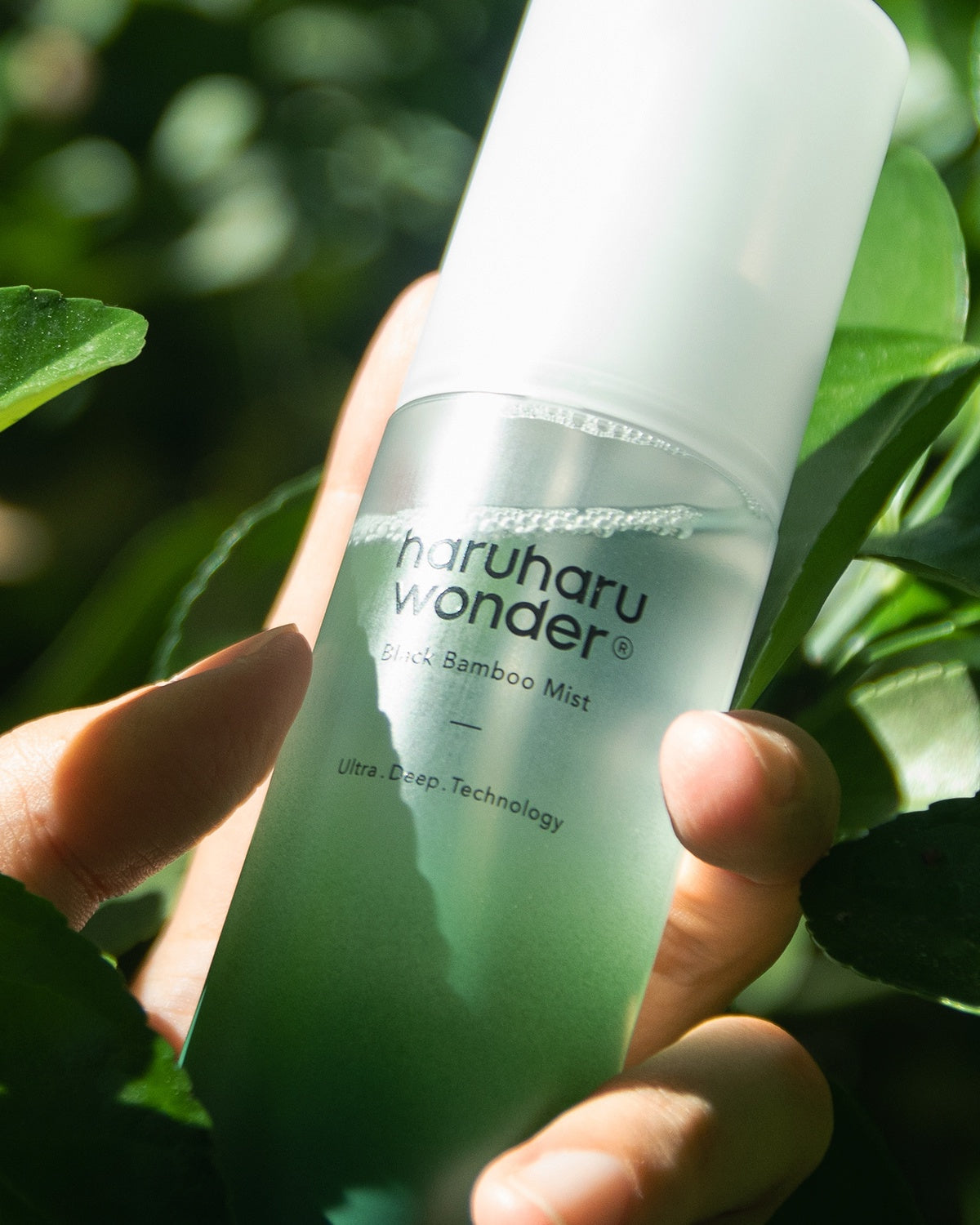 haruharu wonder Black Bamboo Mist
